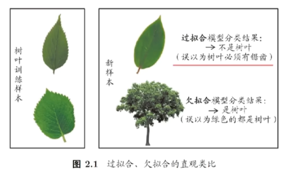 image-20250312130354665