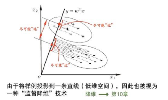 image-20250313170517025