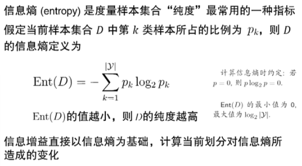 image-20250313205338994