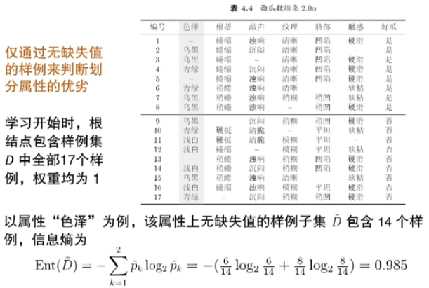 image-20250314114122324